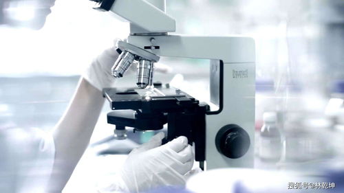 廣州化妝品代加工攻略 如何輕松挑選優(yōu)質(zhì)工廠與廣告設(shè)計(jì)